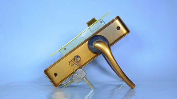 WWHS 66-mcf Medium with Brass Machine Handle Door Lock - Image 2