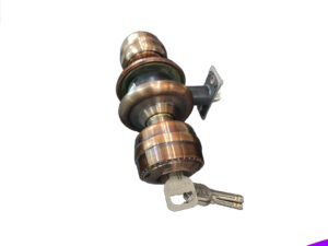 WHS 187_YS Round Door lock