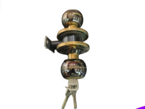 WHS 790_BK/BP Round Door lock